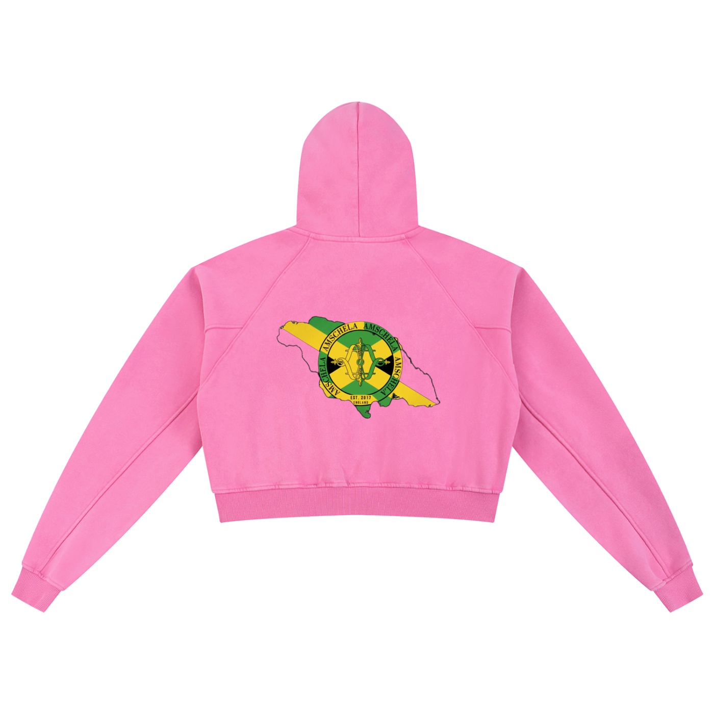 Hummingbird Bird Hoodie-A
