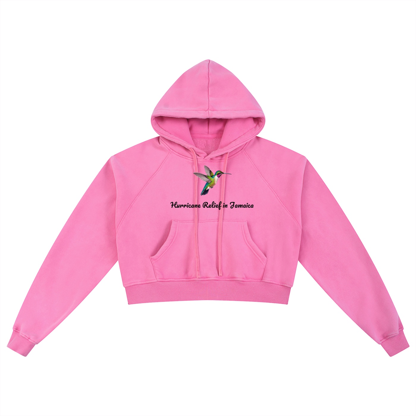 Hummingbird Bird Hoodie-B