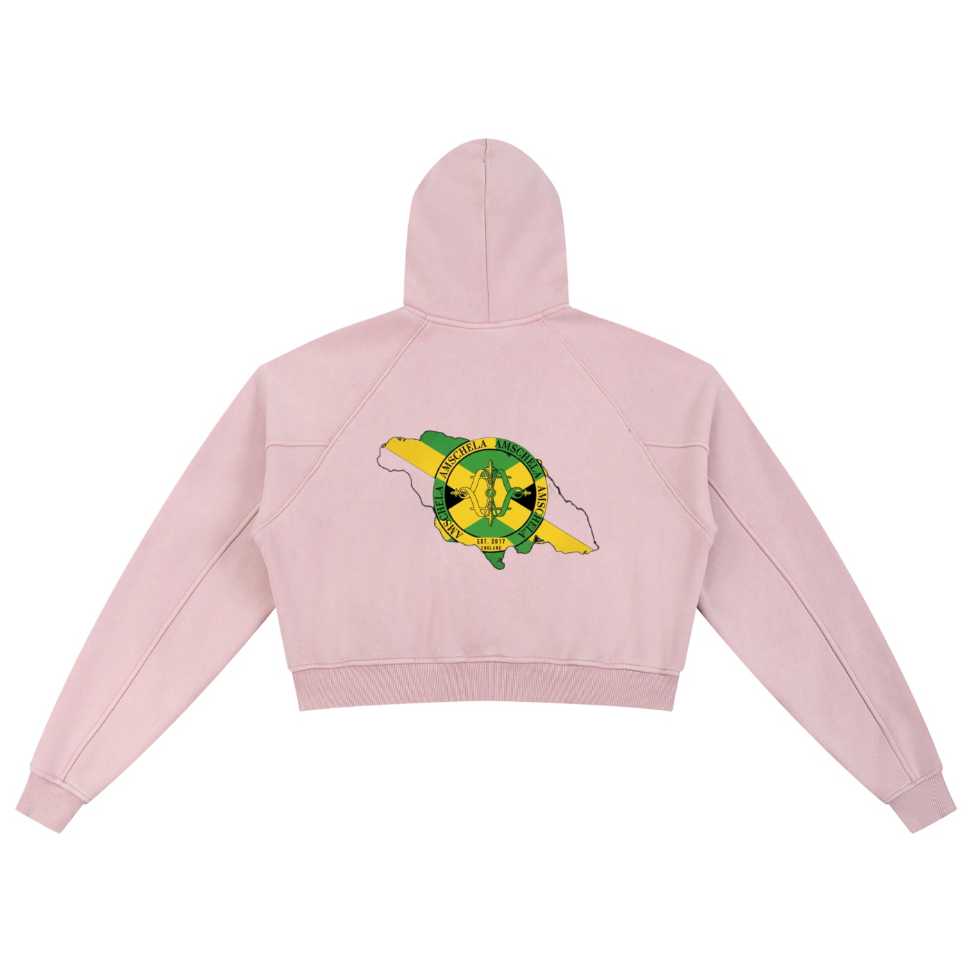 Hummingbird Bird Hoodie-E