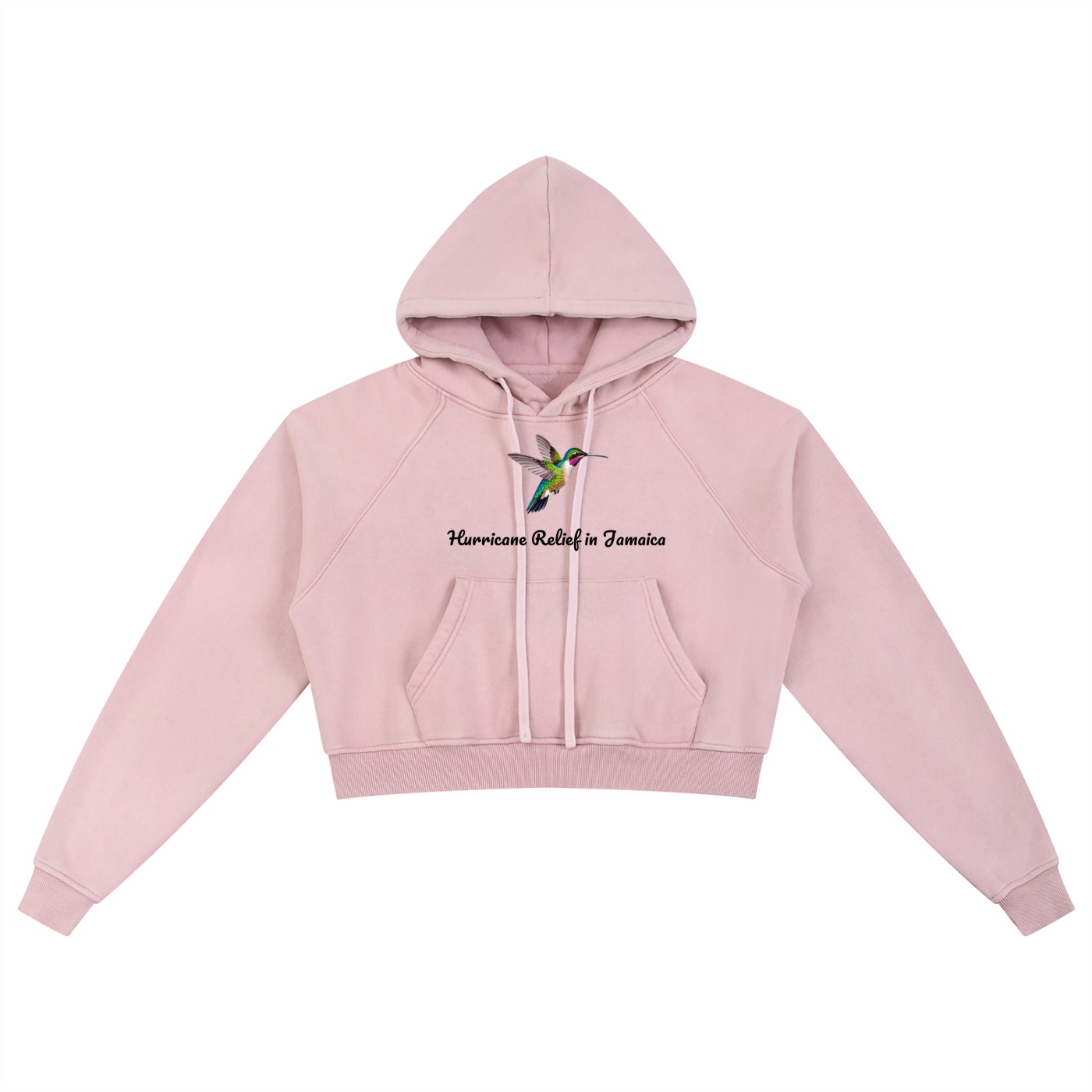 Hummingbird Bird Hoodie-F