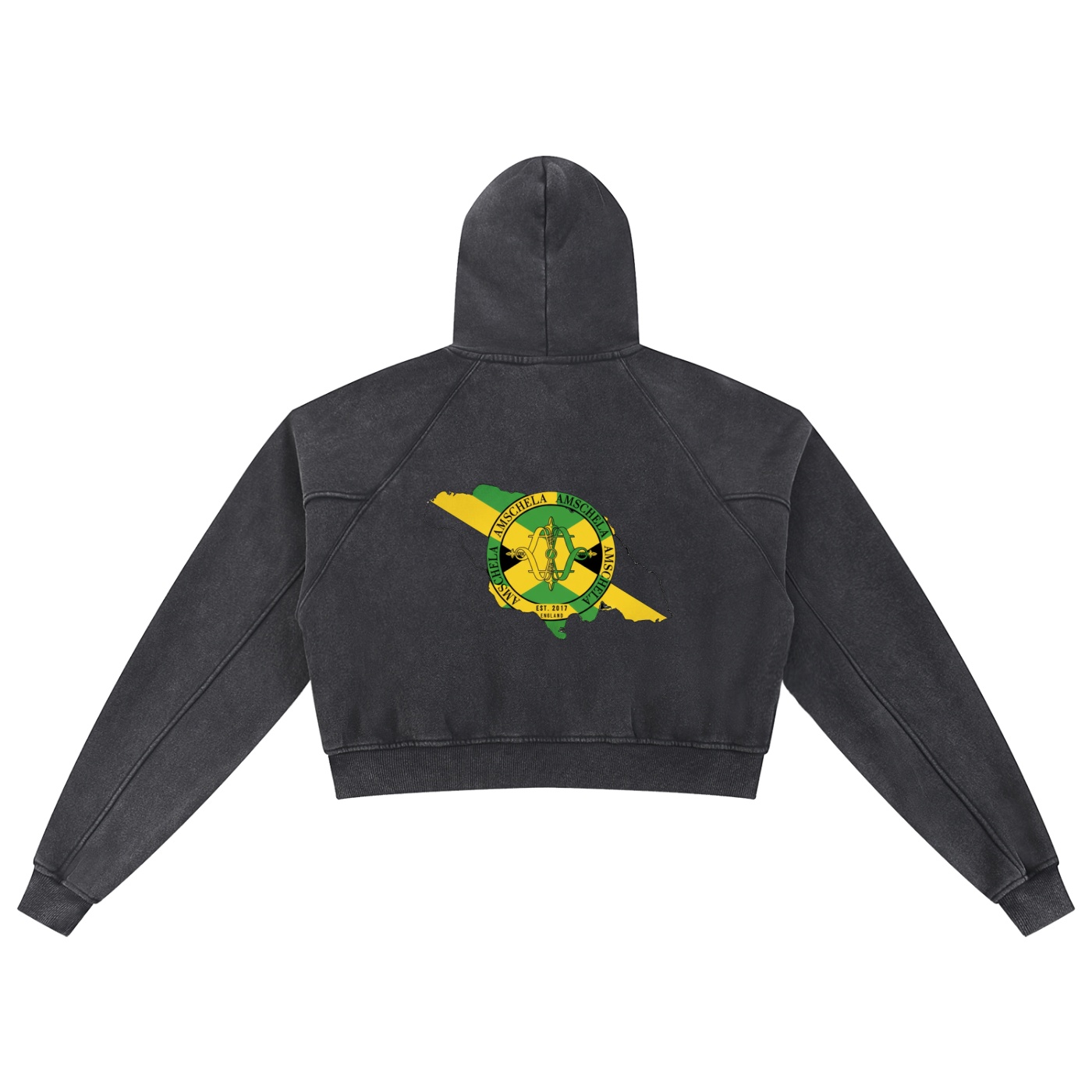 Hummingbird Bird Hoodie-G