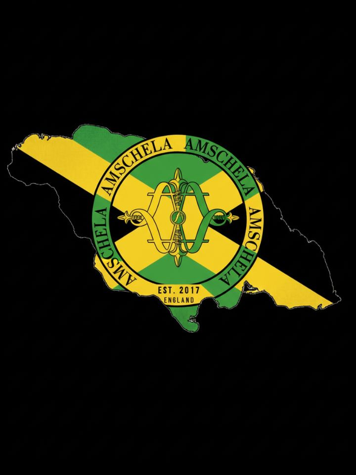 Hurricane Melissa x Amschela Logo